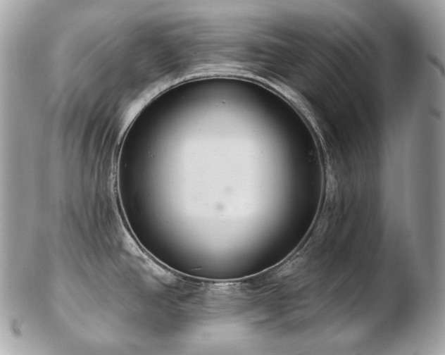 X0000103281390200808291302