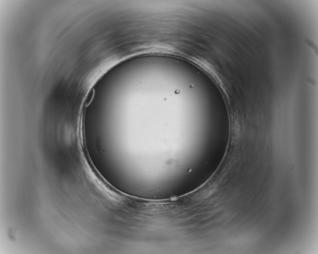 X0000103281391200808291302