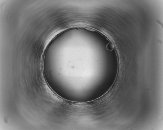 X0000103281392200808291302