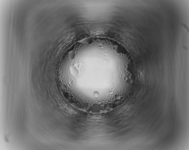 X0000103281393200808291301