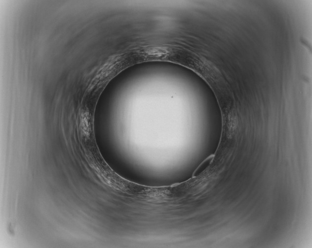 X0000103281394200808291301