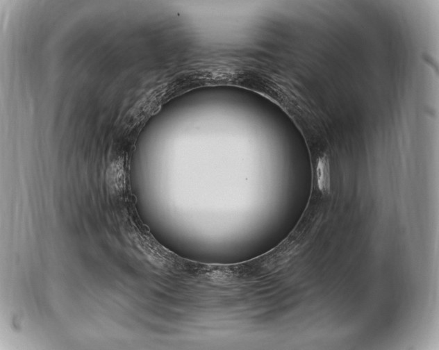 X0000103281395200808291301