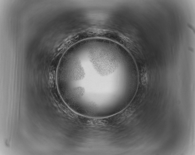 X0000103281397200808291301