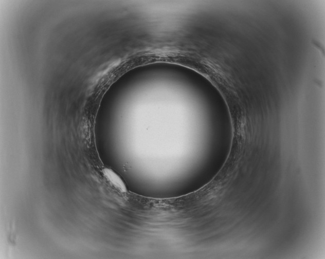 X0000103281398200808291301