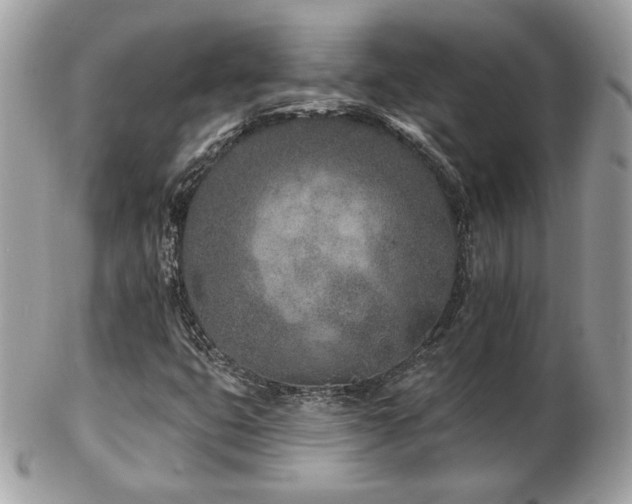 X0000103281399200808291301