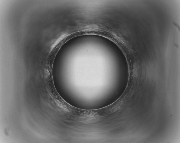 X0000103281400200808291301