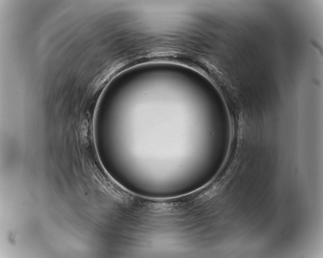 X0000103281401200808291301