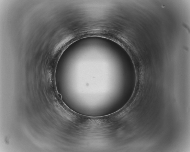 X0000103281402200808291301