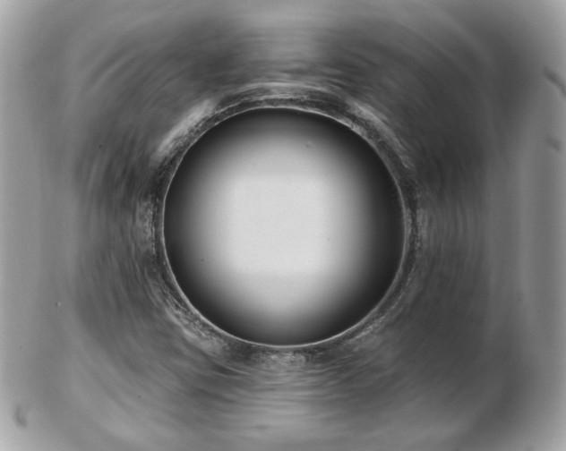 X0000103281403200808291301