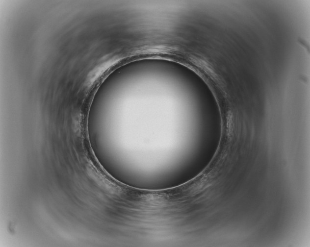 X0000103281404200808291301