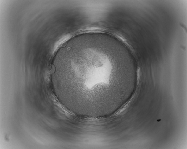 X0000103281405200808291301