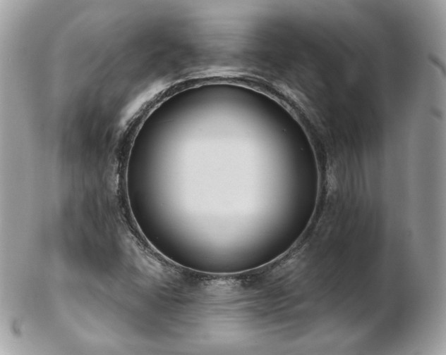 X0000103281406200808291301