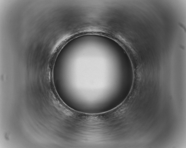 X0000103281408200808291301