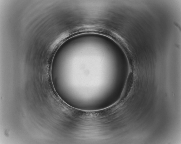 X0000103281411200808291301