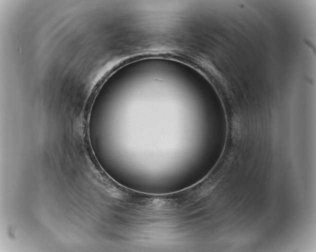 X0000103281412200808291301