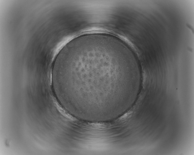 X0000103281413200808291301