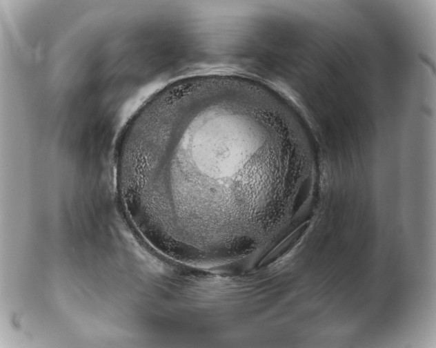 X0000103281414200808291301