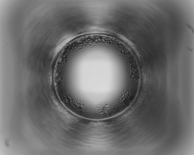 X0000103281415200808291301