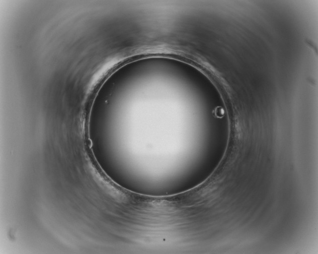 X0000103281416200808291301