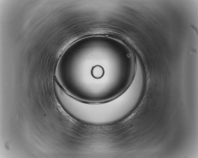 X0000103281417200808291301