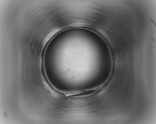 X0000103281418200808291301