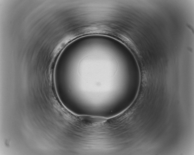 X0000103281419200808291301