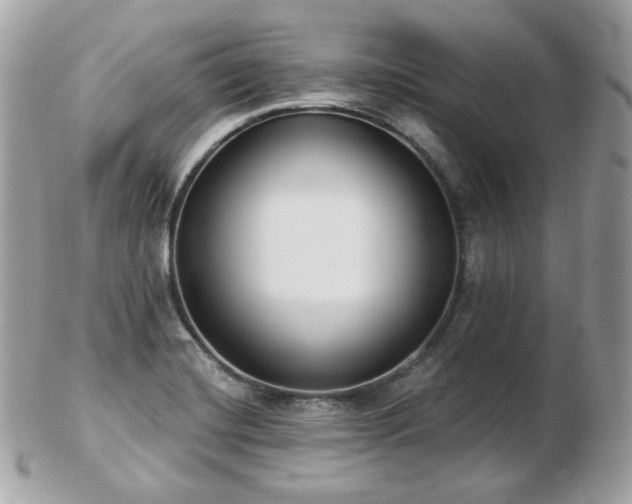 X0000103281420200808291301