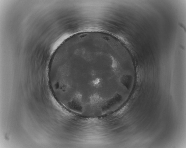 X0000103281422200808291302