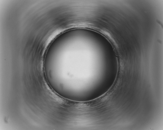 X0000103281424200808291302