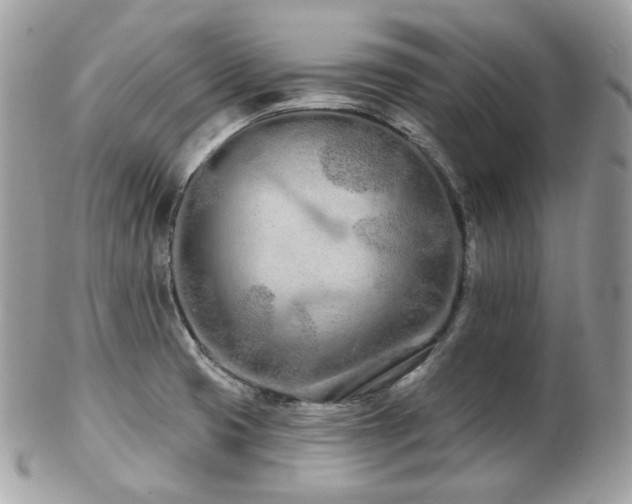 X0000103281425200808291302