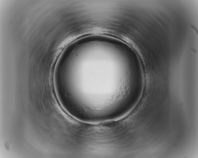 X0000103281429200808291302