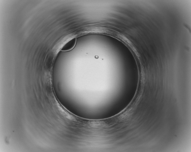 X0000103281433200808291302