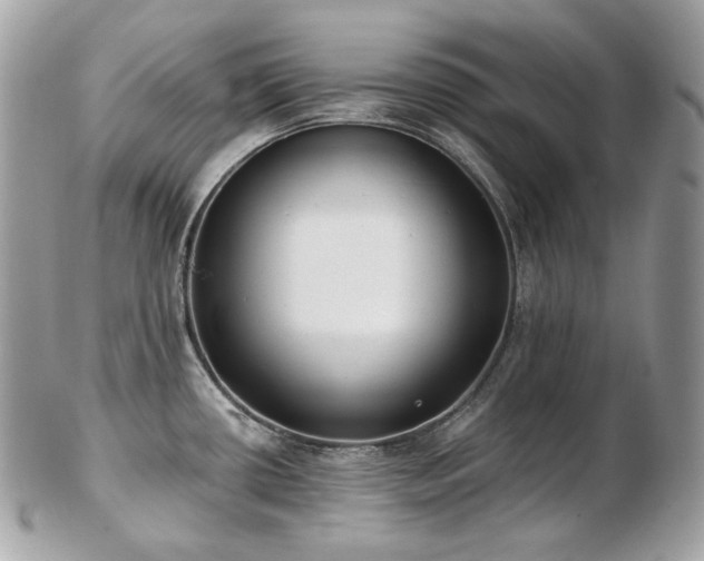 X0000103281434200808291302