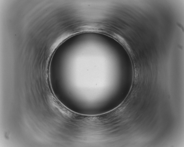 X0000103281435200808291302