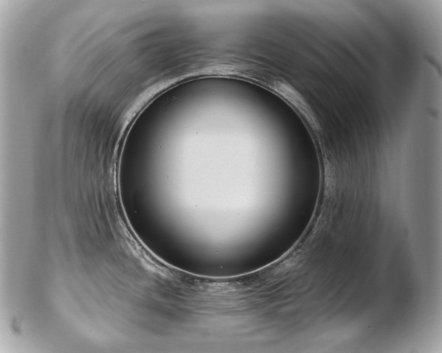 X0000103281436200808291302