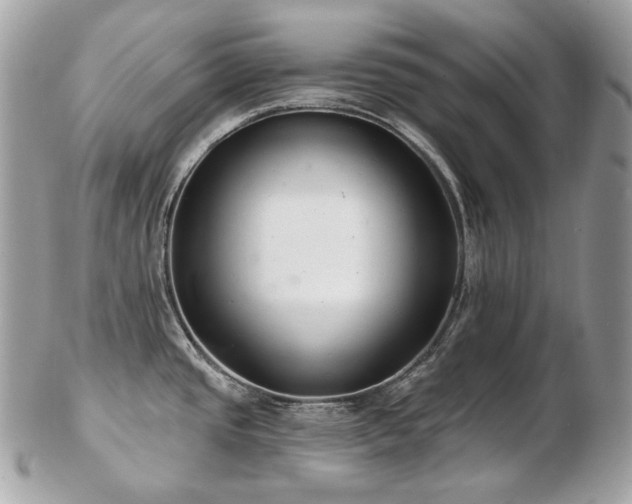 X0000103281437200808291302