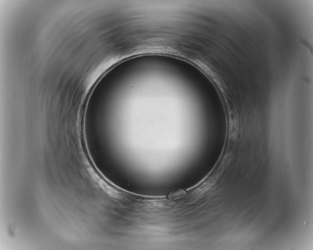 X0000103281438200808291302