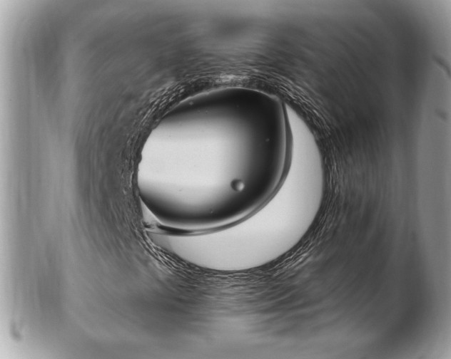 X0000103281441200808291301