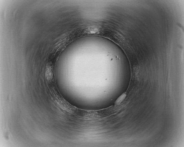 X0000103281442200808291301