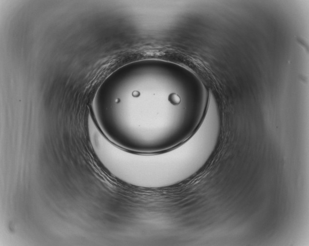 X0000103281444200808291301