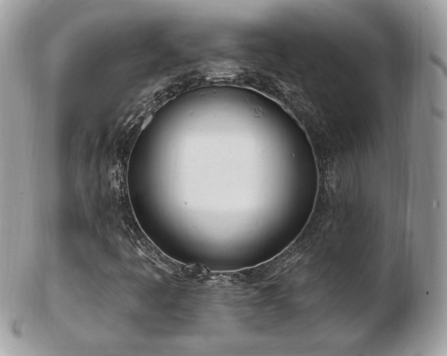 X0000103281445200808291301