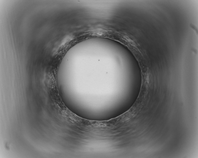 X0000103281446200808291301