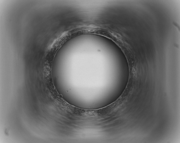 X0000103281447200808291301