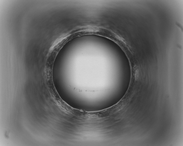 X0000103281448200808291301