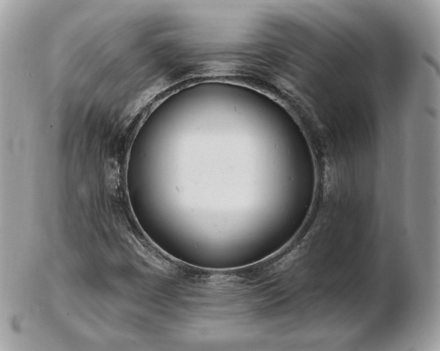 X0000103281449200808291301