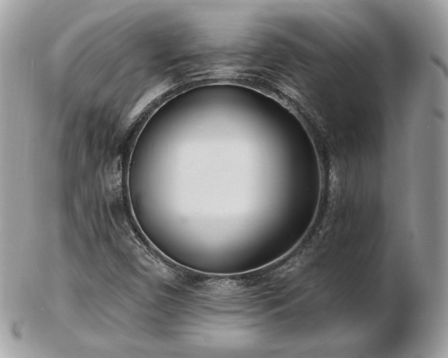 X0000103281450200808291301