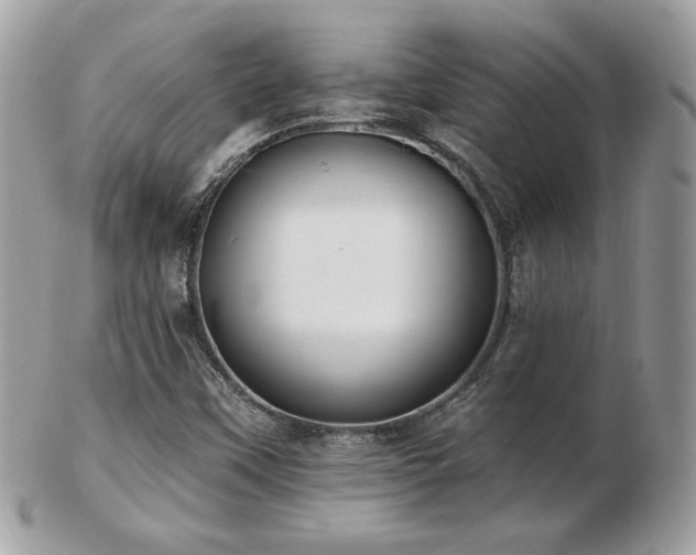 X0000103281451200808291301