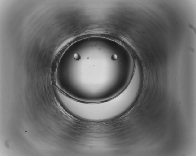 X0000103281452200808291301