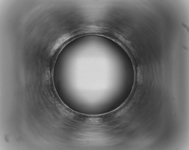 X0000103281453200808291301