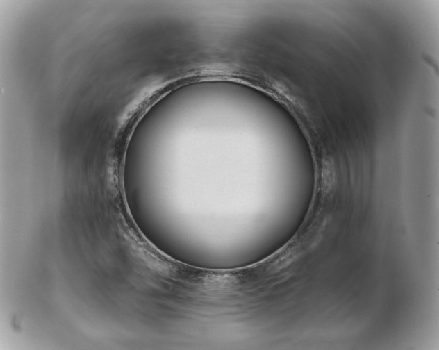 X0000103281454200808291301